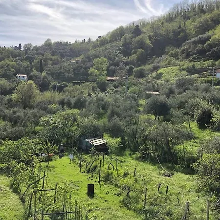 Family Home: 3Bedrooms/2Bath/Wifi/Private Park * Trebiano